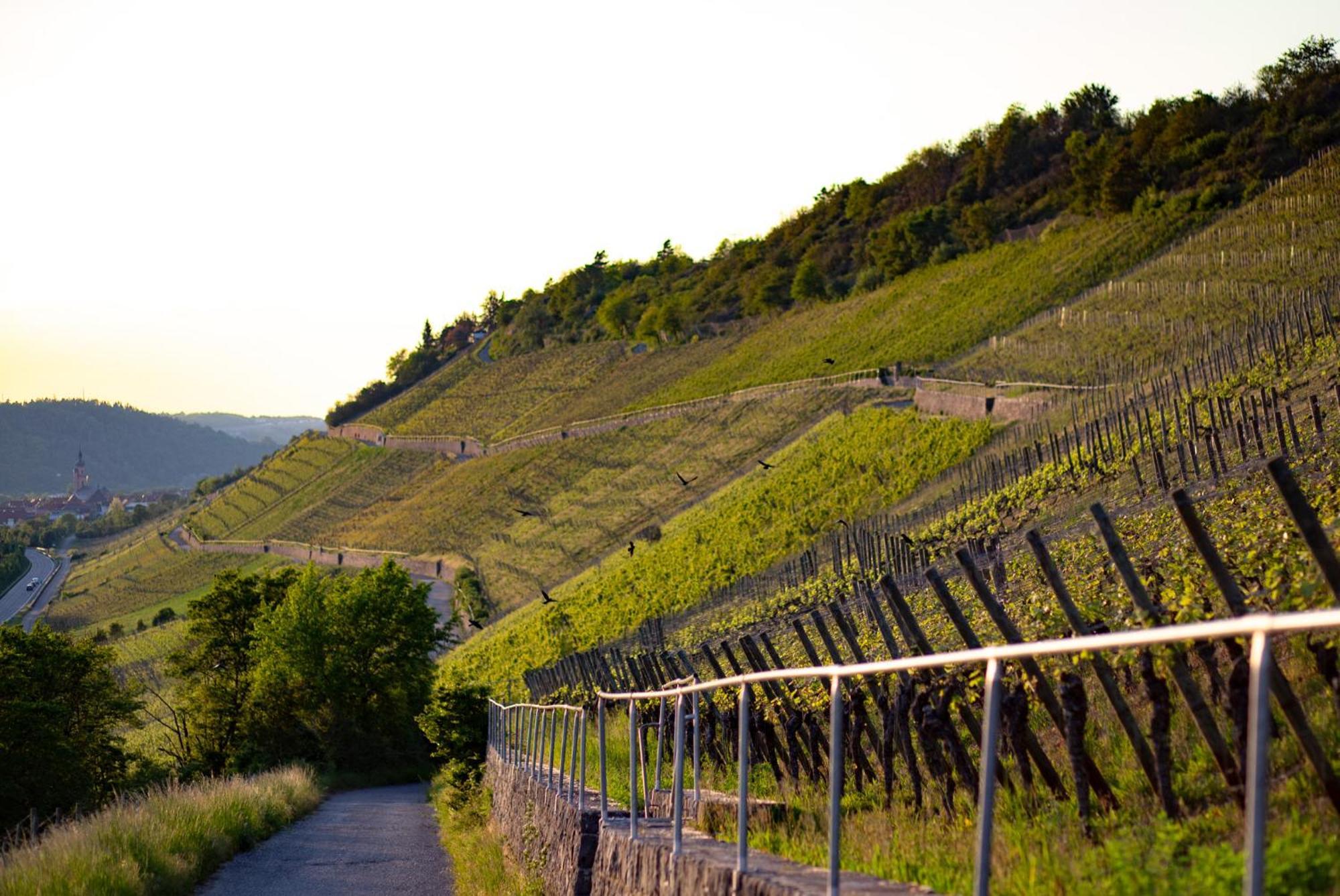 Weingut Leininger Ferienwohnungen Eibelstadt Ngoại thất bức ảnh